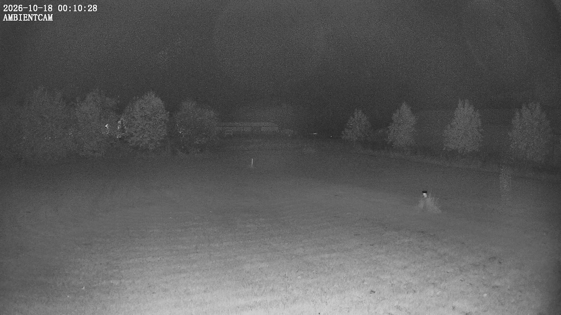 Live Palmer, Alaska weather camera